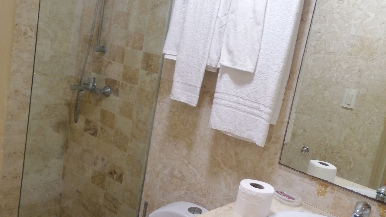 Photo of Bathroom in Reparto Ibarra