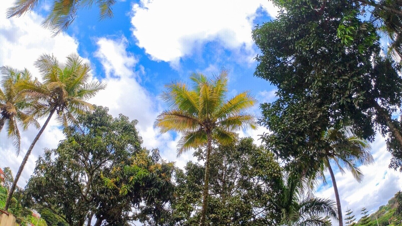Photo of Outdoor in Jarabacoa
