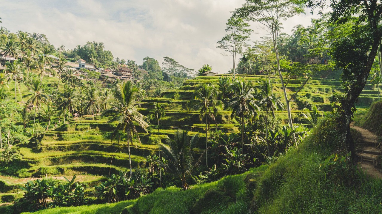 Photo of Outdoor in Munggu