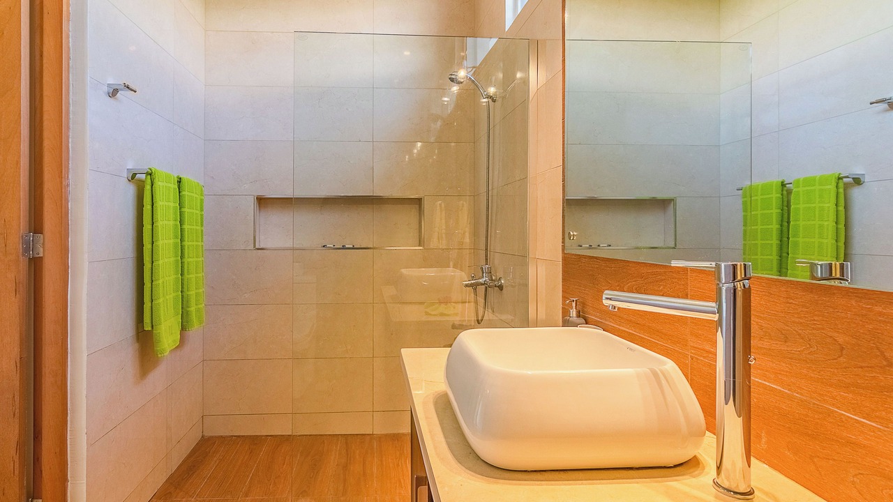 Photo of Bathroom in Sosua