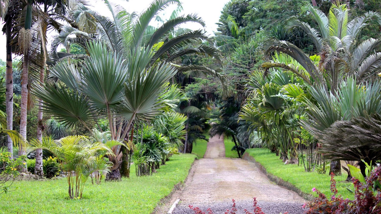 Photo of Outdoor in Corales del Sur