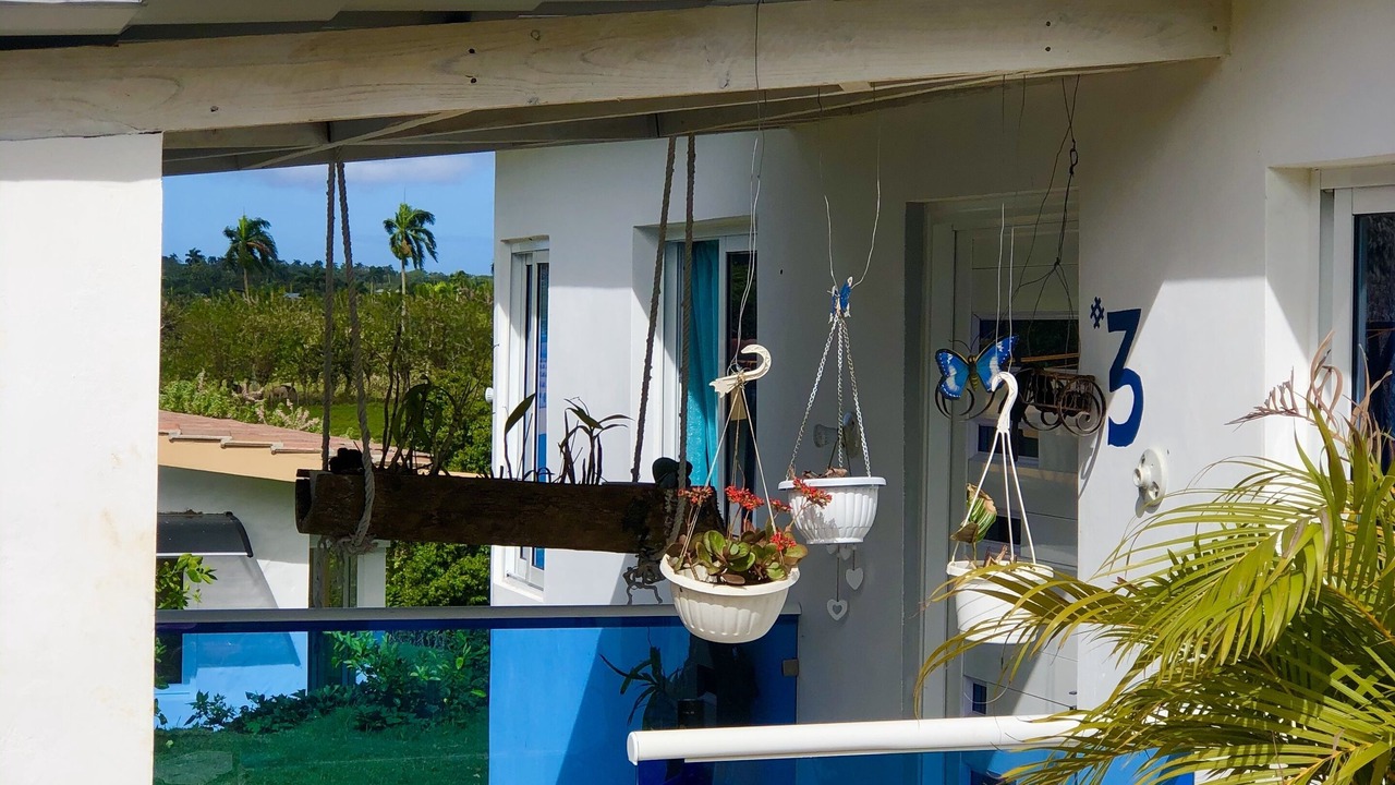 Photo of Outdoor in El Breton