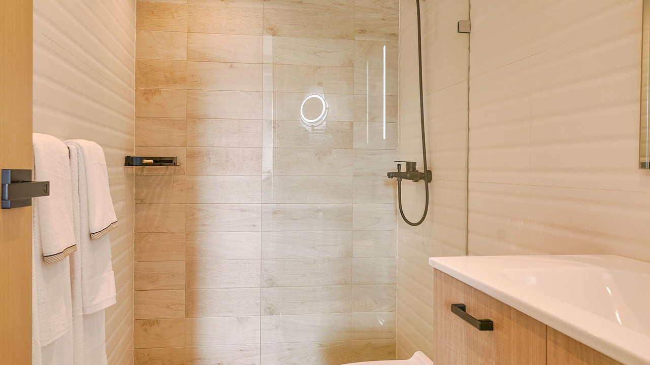 Photo of Bathroom in Evaristo Morales