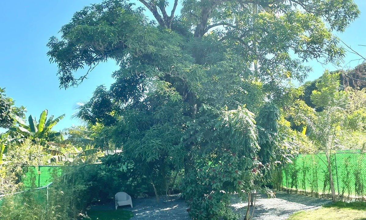 Photo of Outdoor in Cabrera