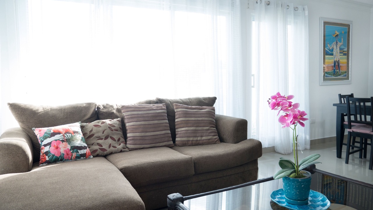 Photo of Livingroom in Sabana Palenque
