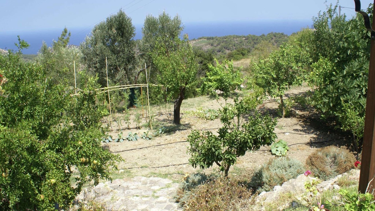 Photo of Outdoor in Asklipiio