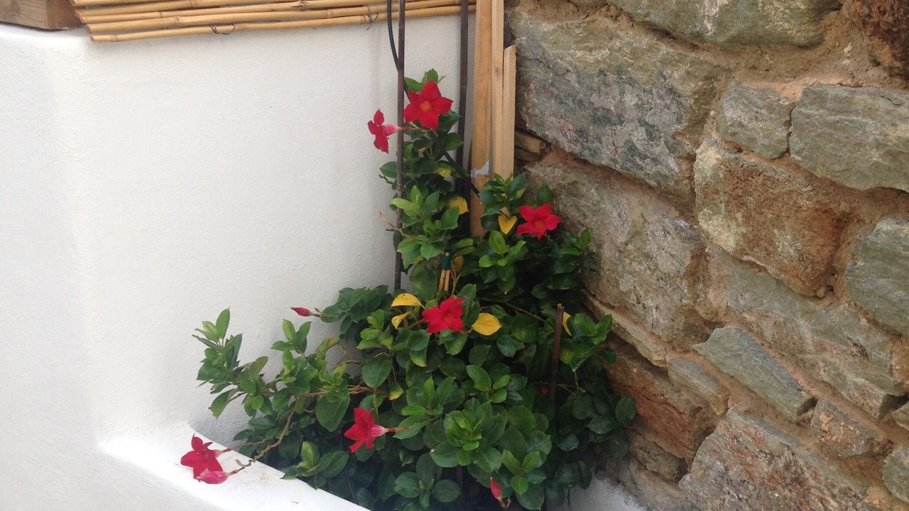 Photo of Outdoor in Agios Sostis