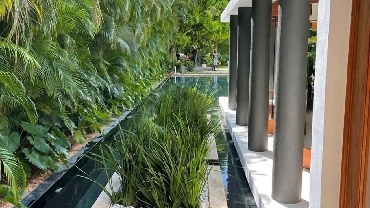 Photo of Outdoor in Los Lagos