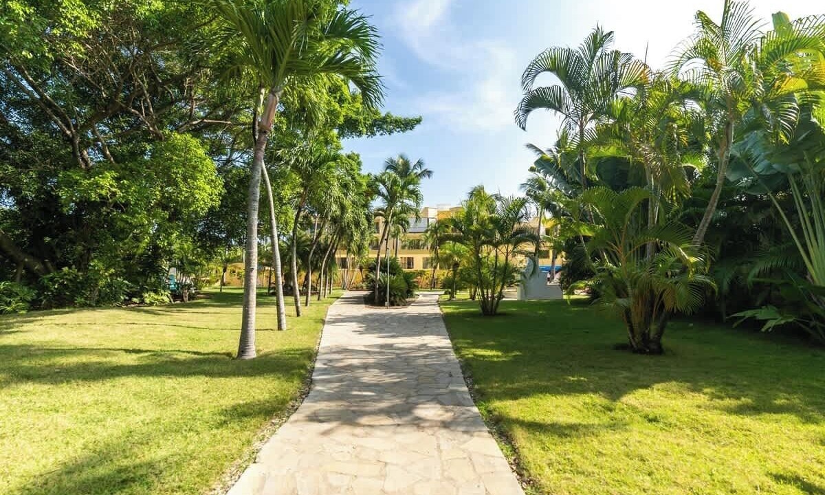 Photo of Outdoor in El Batey