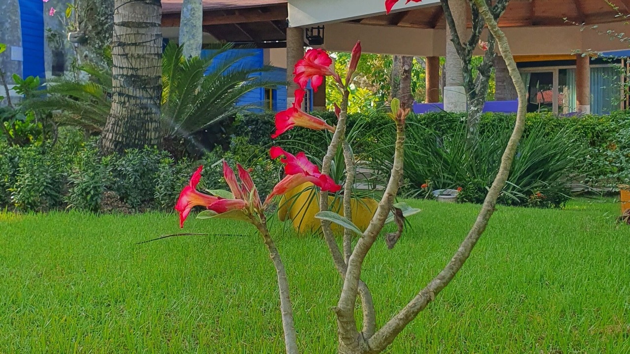 Photo of Outdoor in Higuey