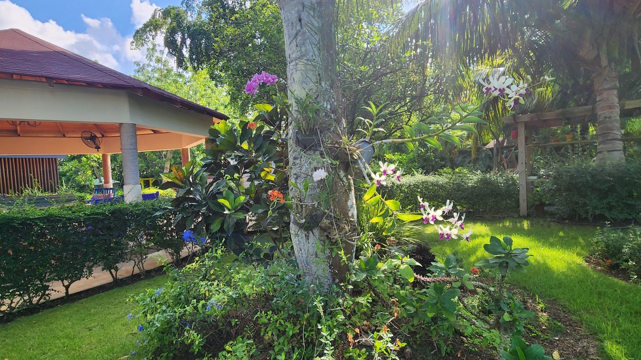 Photo of Outdoor in Higuey