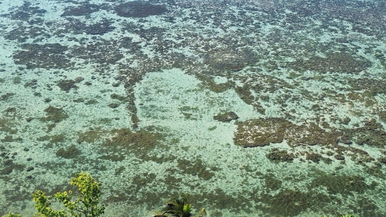 Photo of Outdoor in Moorea-Maiao