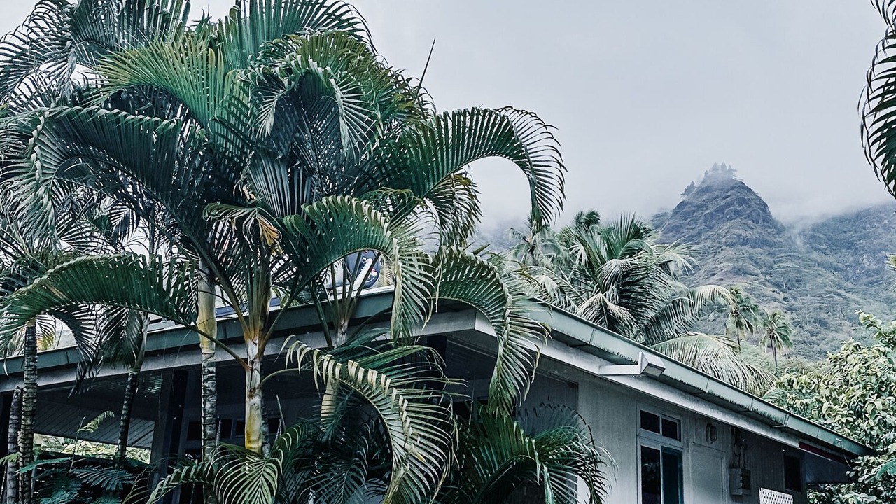 Photo of Outdoor in Moorea-Maiao
