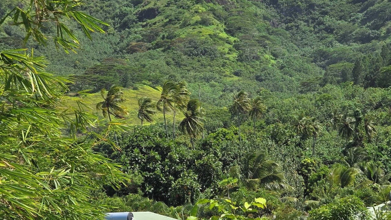 Photo of Others in Moorea-Maiao