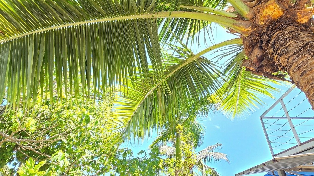 Photo of Outdoor in Moorea-Maiao