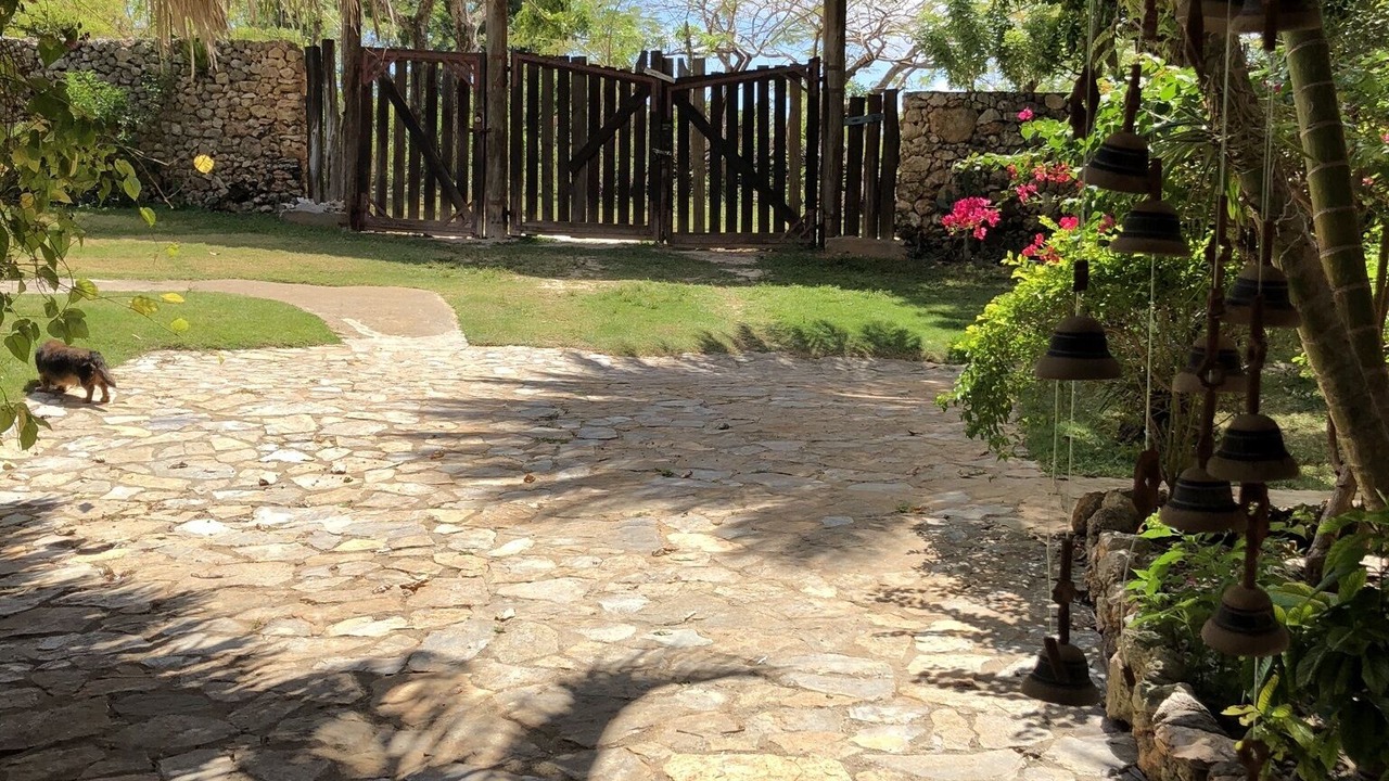 Photo of Outdoor in Las Galeras
