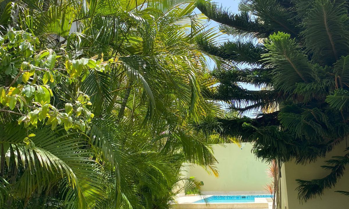 Photo of Outdoor in Los Maestros