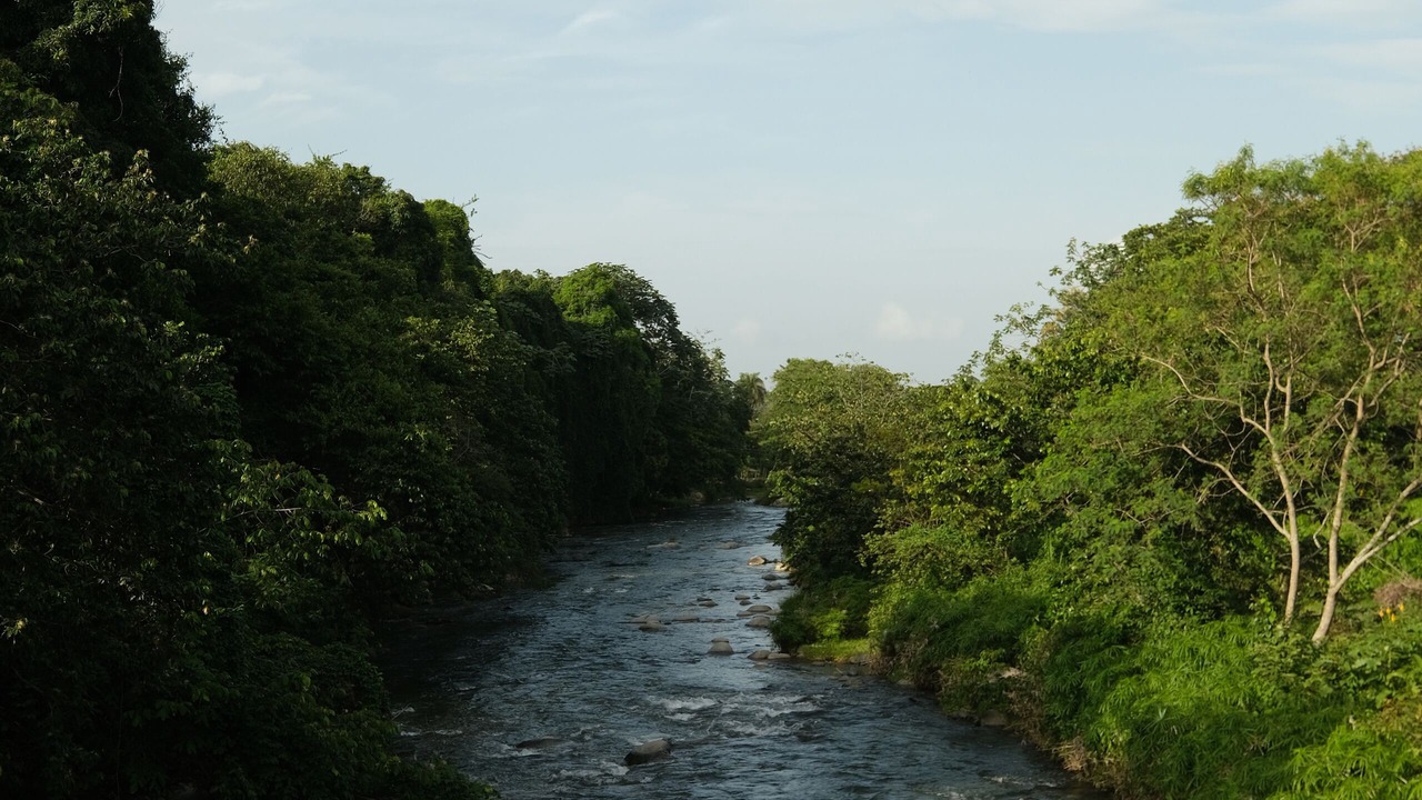 Photo of Others in Jarabacoa
