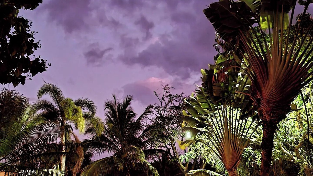 Photo of Outdoor in Santa Cruz del Seibo
