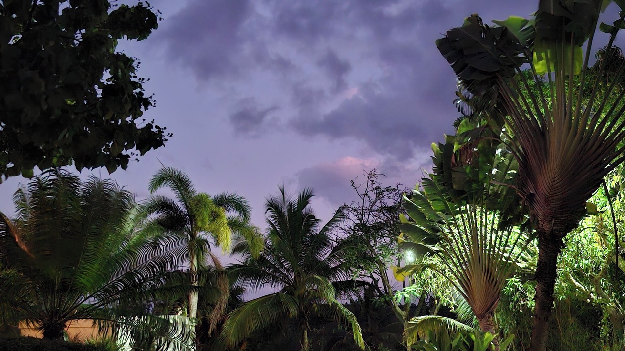 Photo of Outdoor in Santa Cruz del Seibo