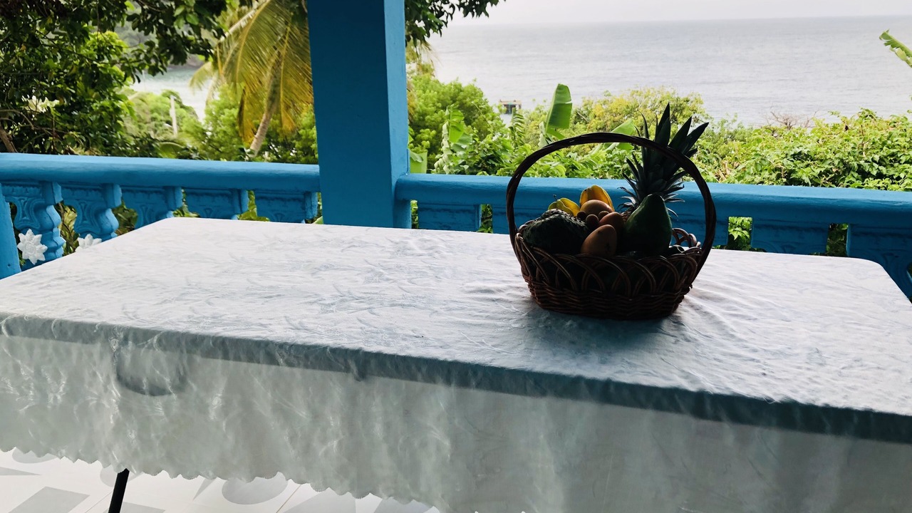 Photo of Outdoor in Samana