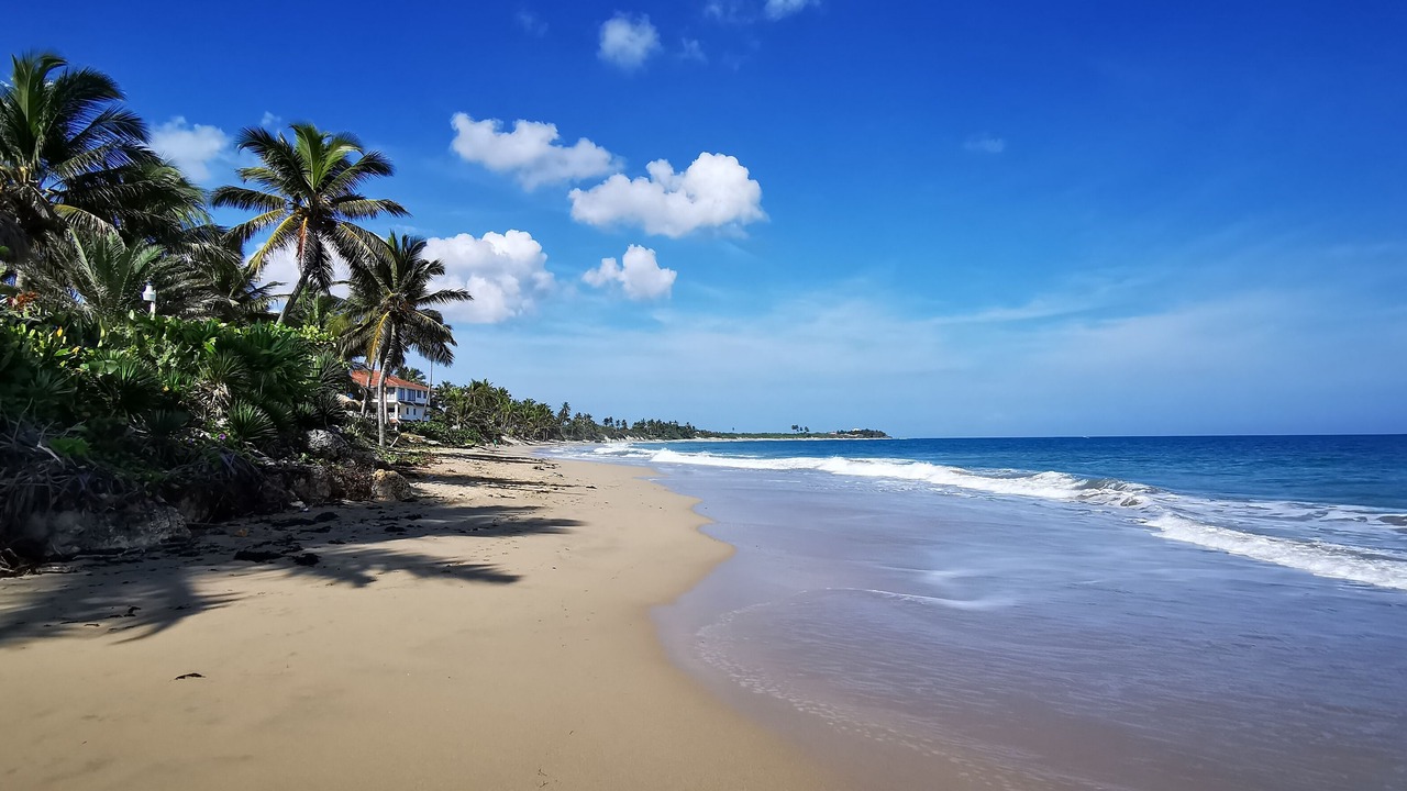 Photo of Others in Cabarete