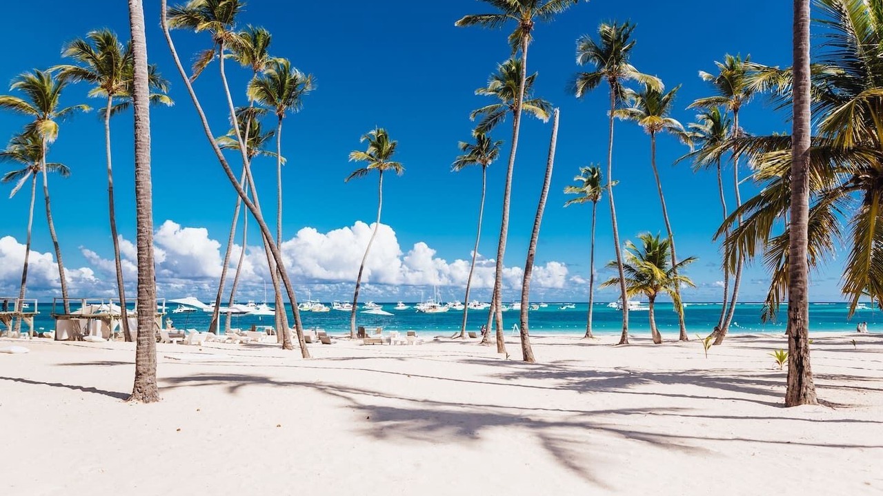 Photo of Others in Playa Bibijagua