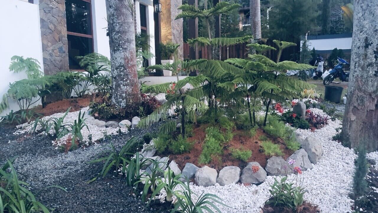 Photo of Outdoor in Jarabacoa