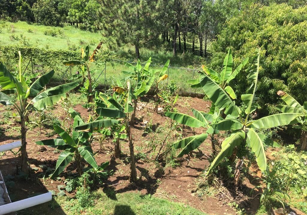 Photo of Outdoor in La Vega Province