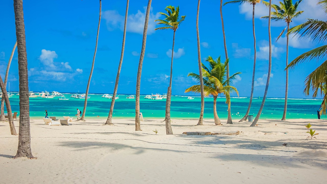 Photo of Others in Bavaro