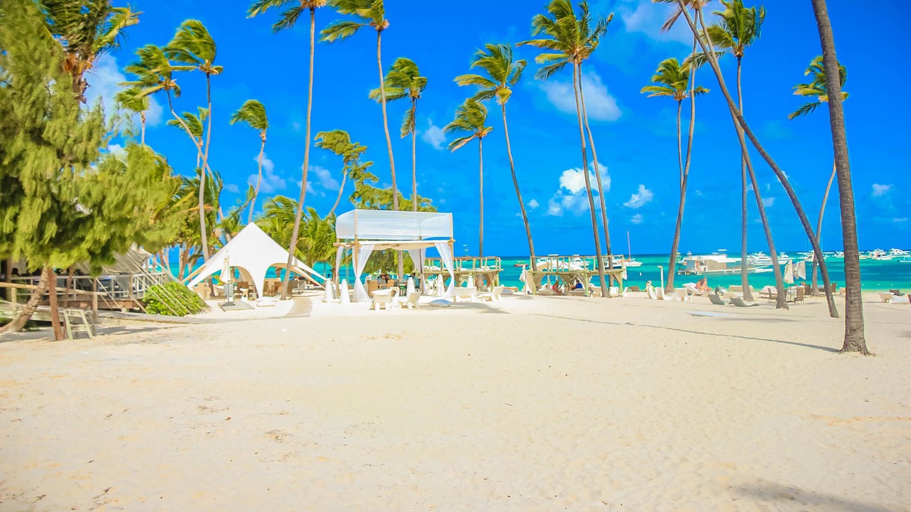 Photo of Others in Bavaro