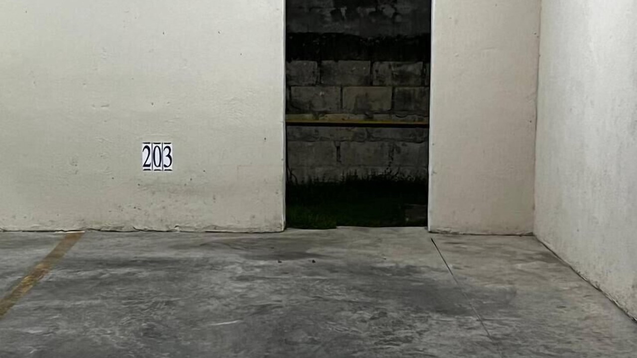 Photo of Outdoor in Los Rios