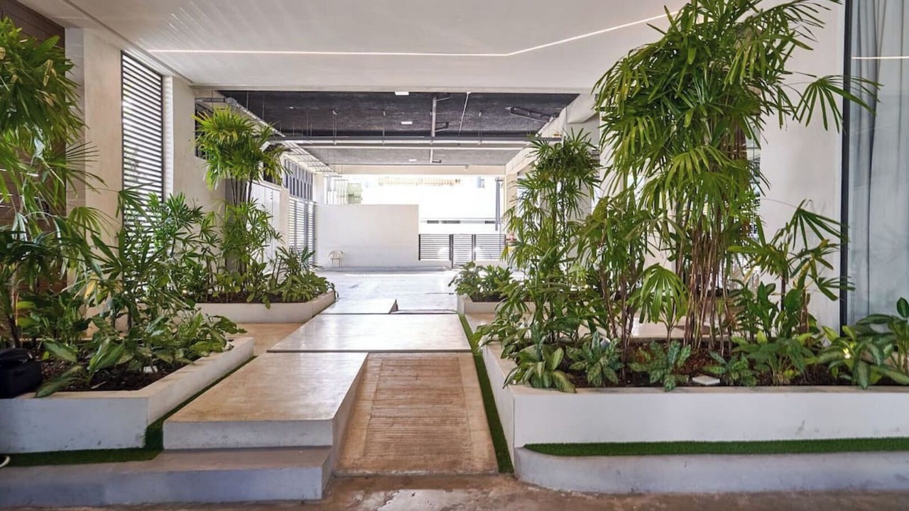 Photo of Outdoor in Santo Domingo