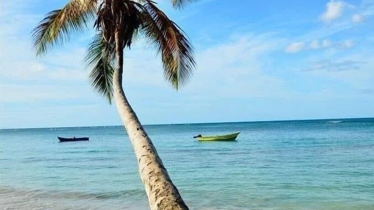 Photo of Others in Punta Cana