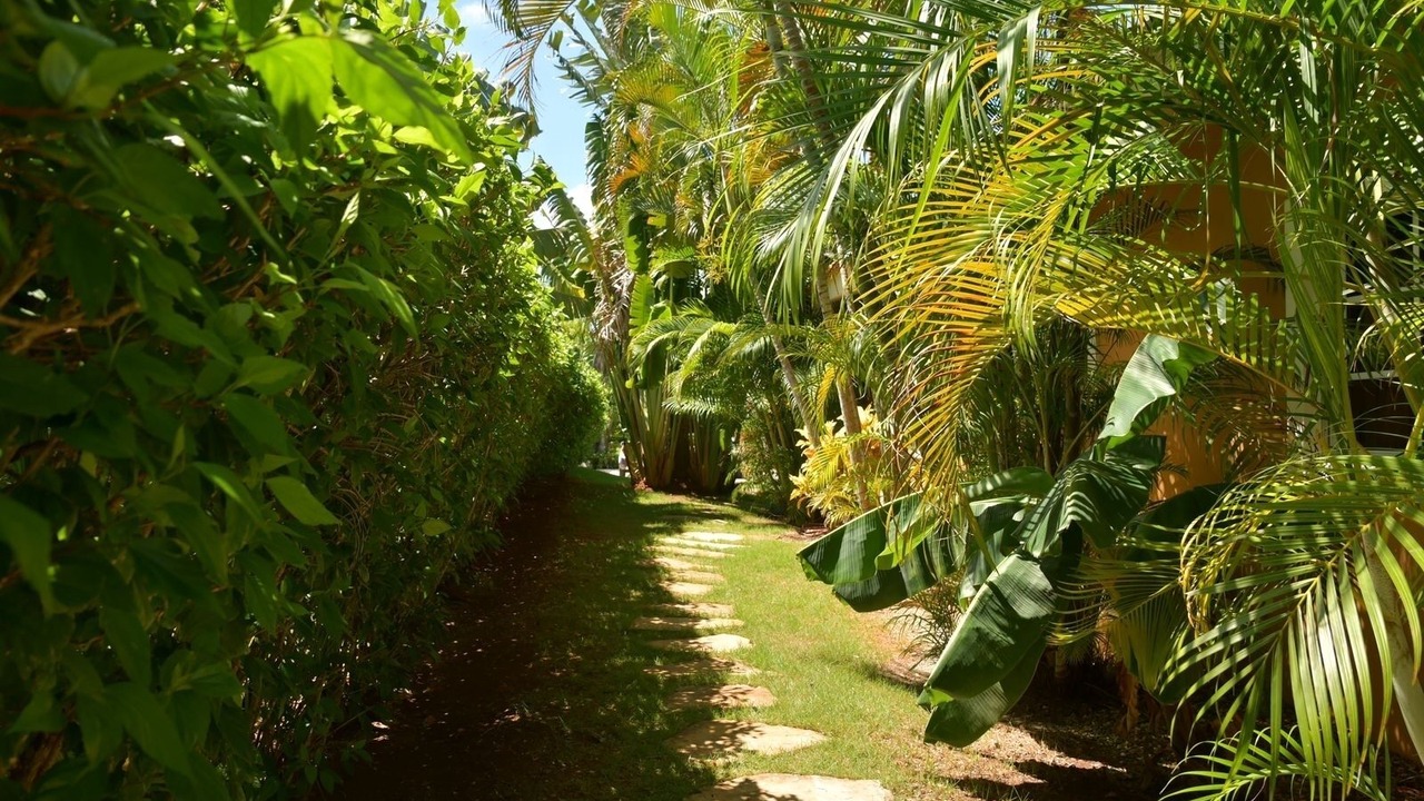Photo of Outdoor in Urbanizacion Tavarez