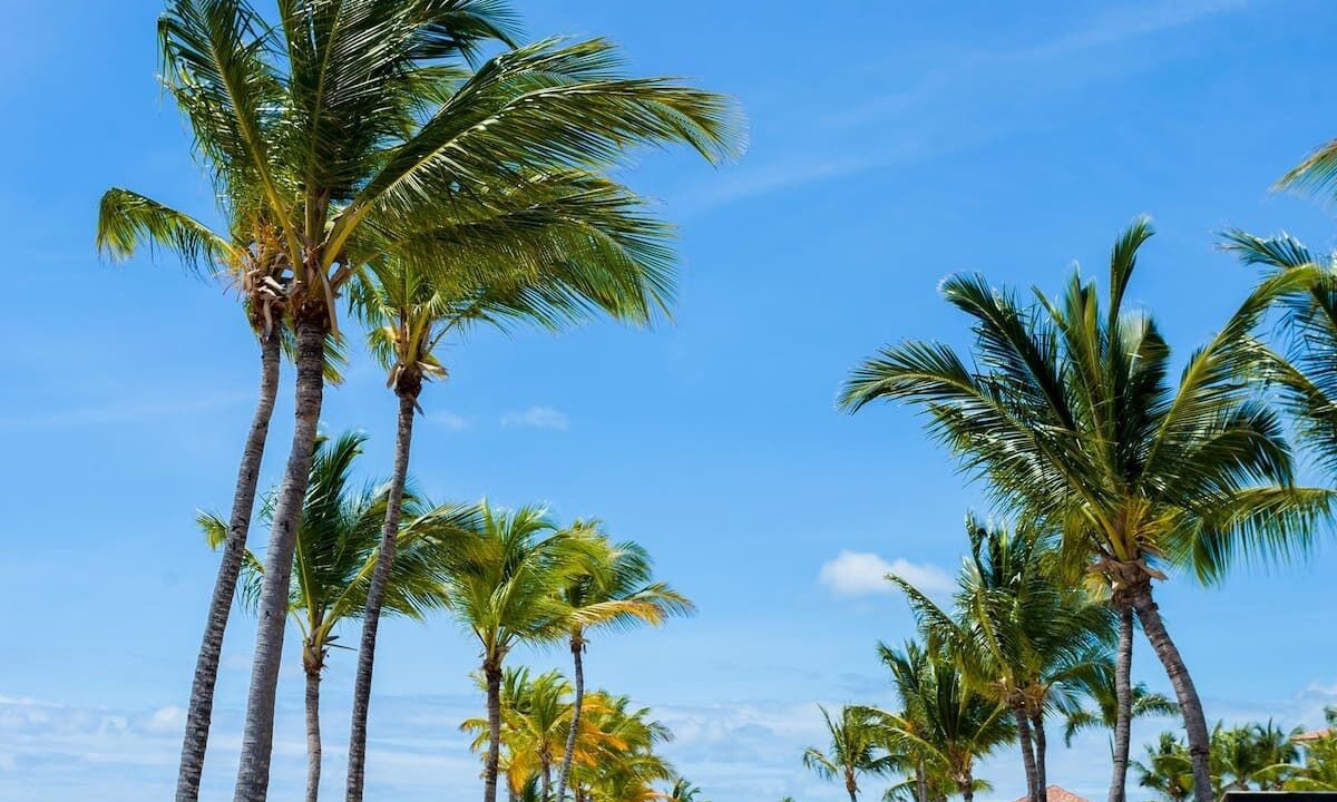 Photo of Outdoor in Cap Cana Marina