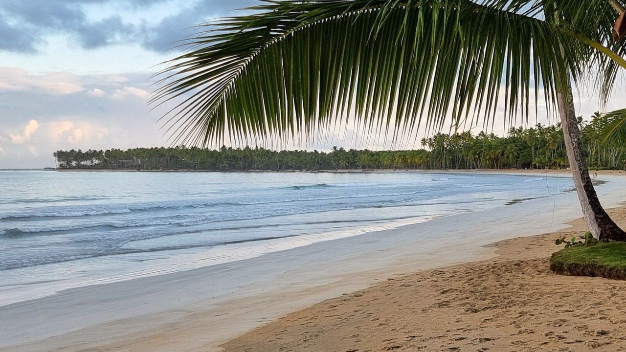 Photo of Others in Las Terrenas