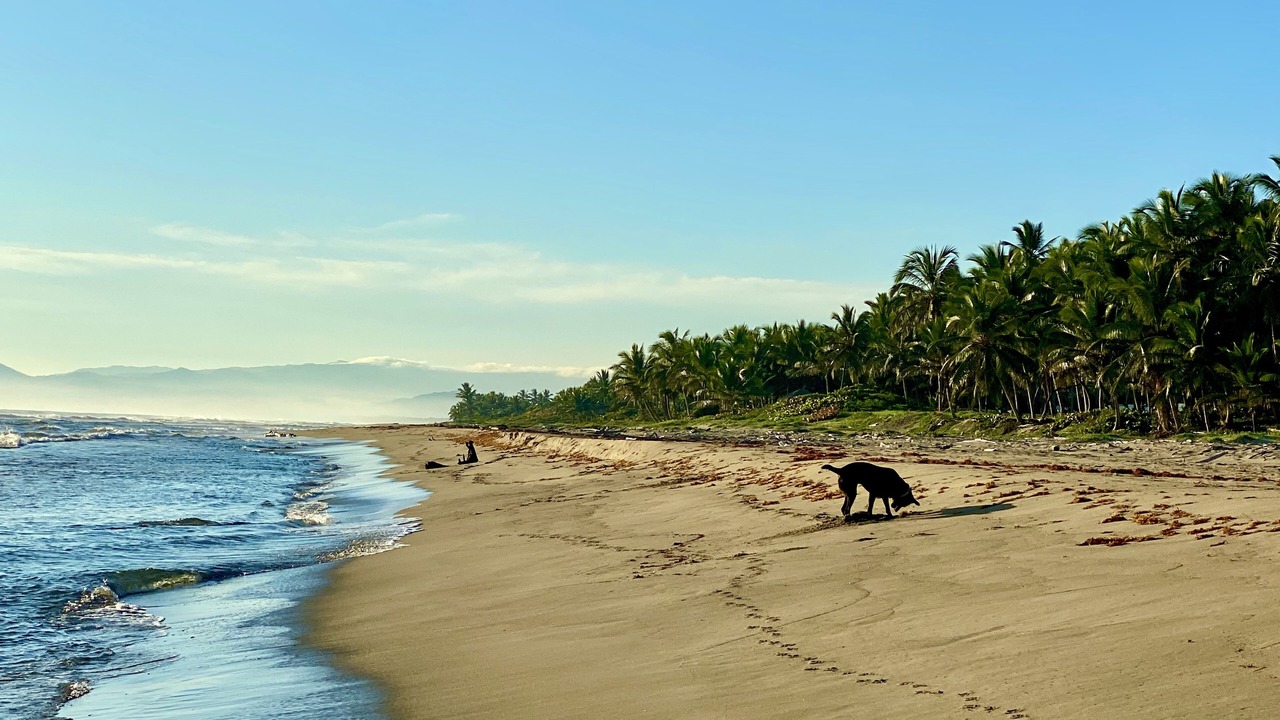 Photo of Others in Cabarete