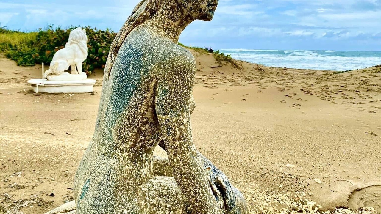 Photo of Others in Cabarete