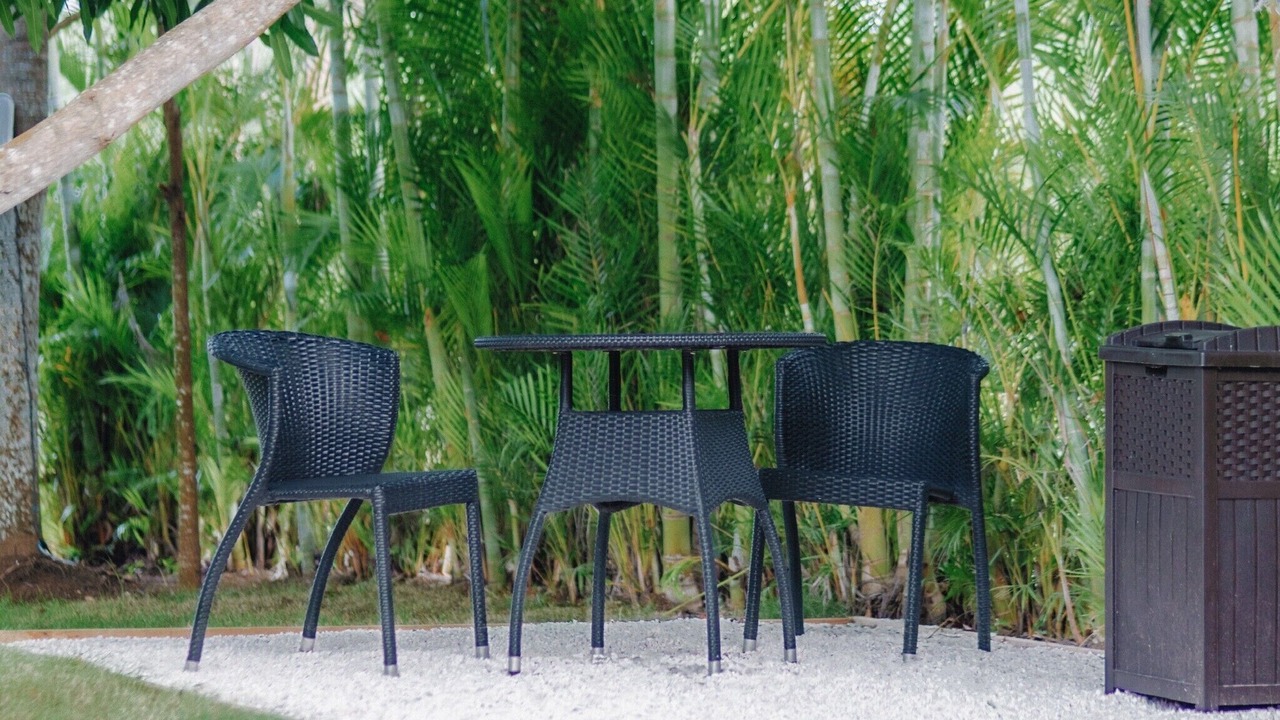 Photo of Outdoor in Guayacanes