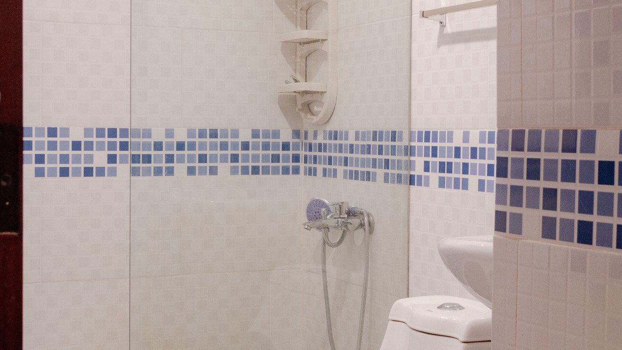 Photo of Bathroom in Mendoza