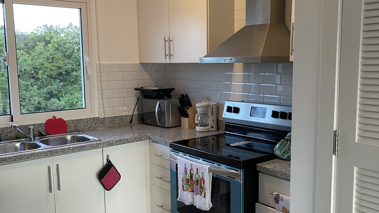 Photo of Kitchen in La Cana