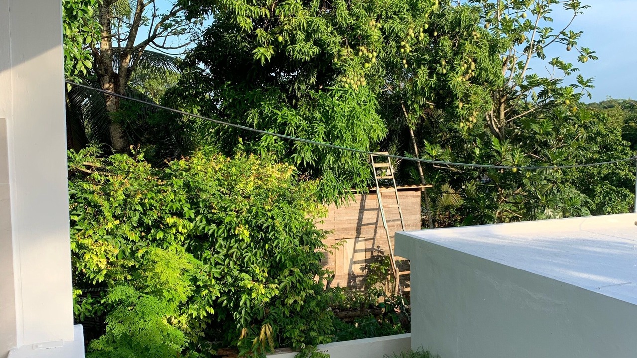 Photo of Outdoor in Barrio El Hospital