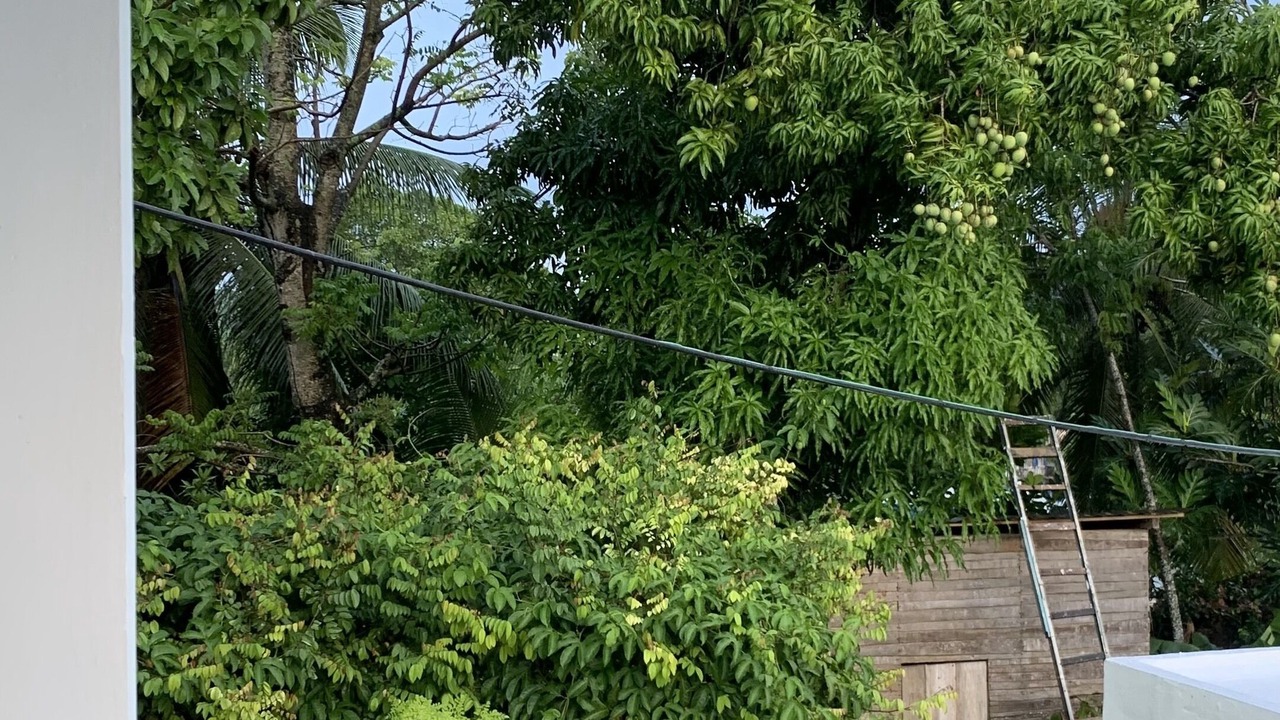 Photo of Outdoor in Barrio El Hospital