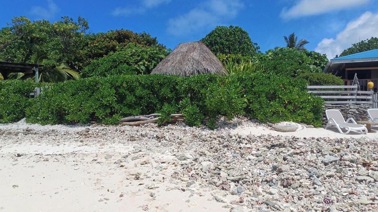 Photo of Outdoor in Teavaro