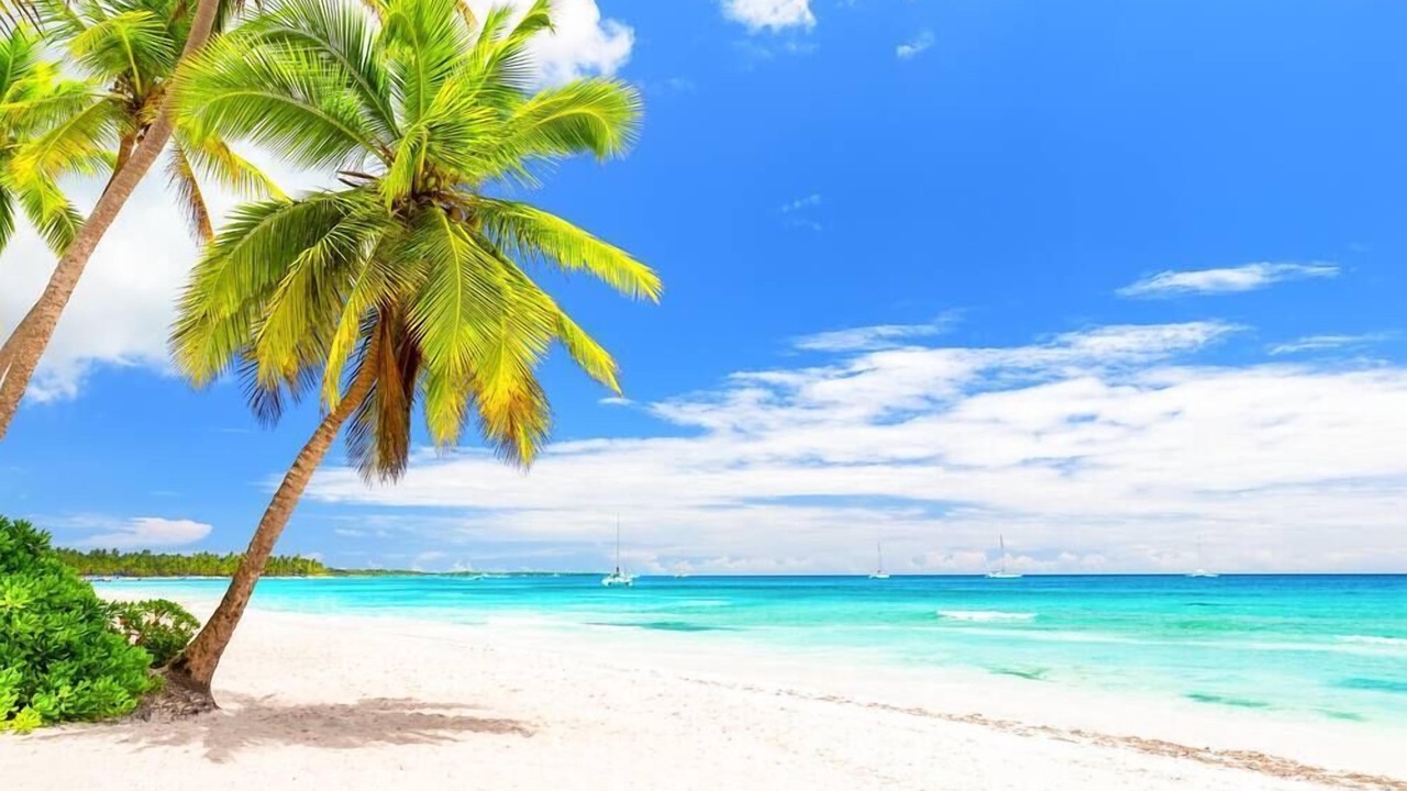Photo of Others in Dominicus