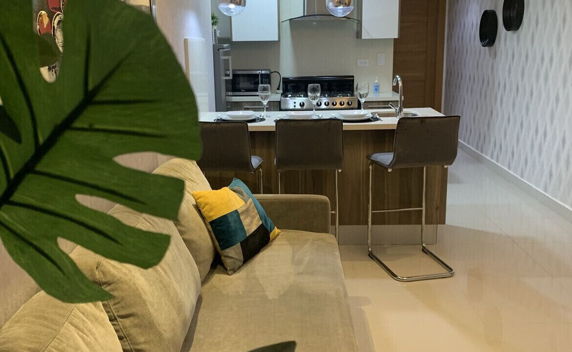 Photo of Livingroom in Downtown Santo Domingo