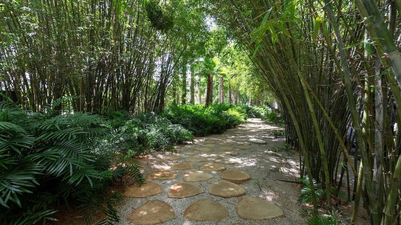 Photo of Outdoor in Casa de Campo