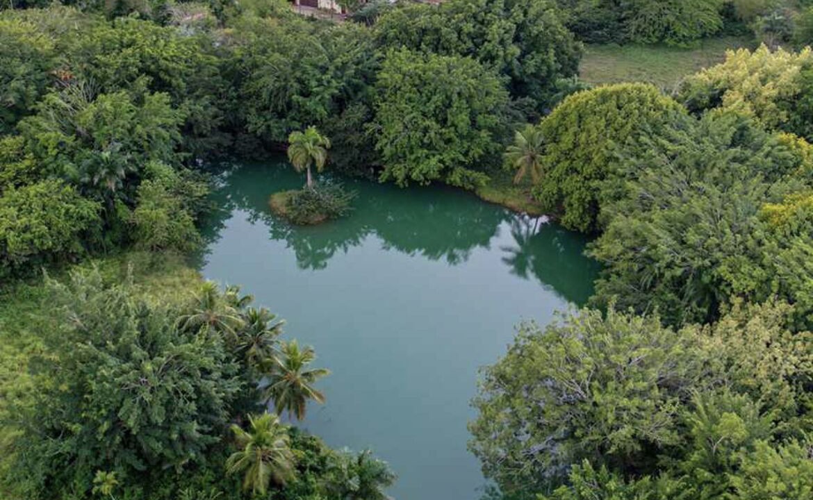 Photo of Outdoor in San Antonio de Guerra