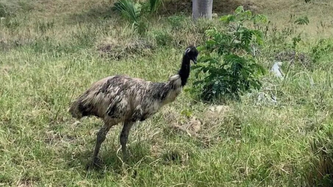 Photo of Outdoor in Yaguate